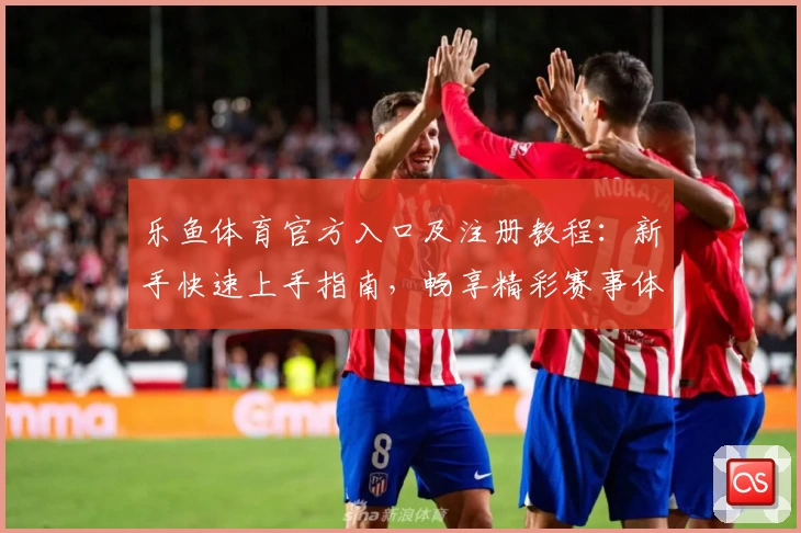 乐鱼体育官方入口及注册教程：新手快速上手指南，畅享精彩赛事体验
