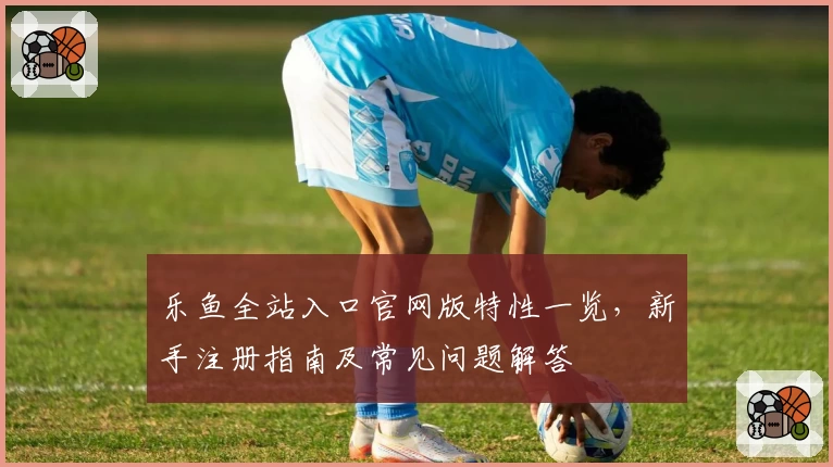 乐鱼全站入口官网版特性一览，新手注册指南及常见问题解答