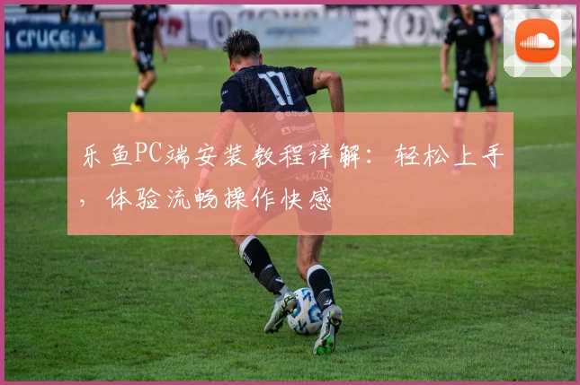 乐鱼PC端安装教程详解：轻松上手，体验流畅操作快感