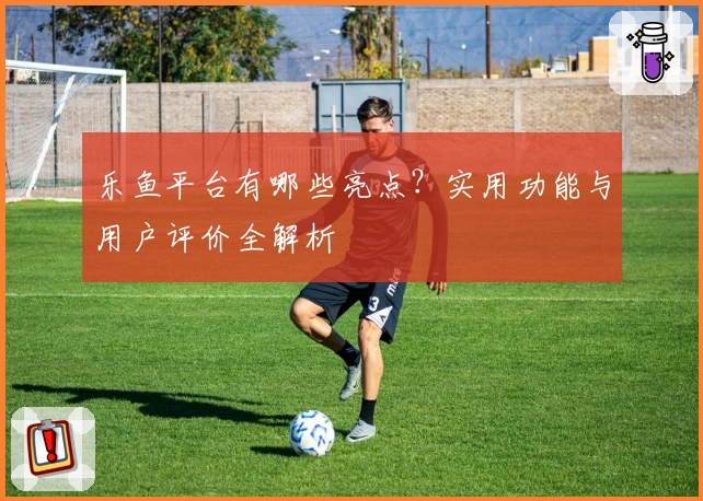 乐鱼平台有哪些亮点？实用功能与用户评价全解析