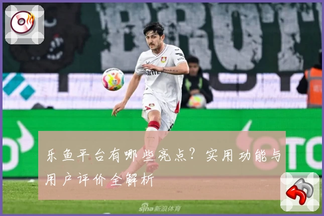 乐鱼平台有哪些亮点?实用功能与用户评价全解析